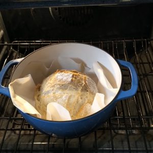 After 30 min, remove the cover and return to the oven for another 30 min, lowering the oven to 425 ⁰F.
